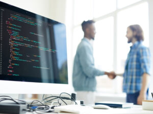 White Label WordPress Development